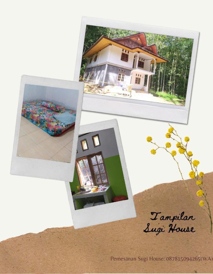Sugi House Toraja - Villa Penginapan Sewa Harian Rantepao Extérieur photo